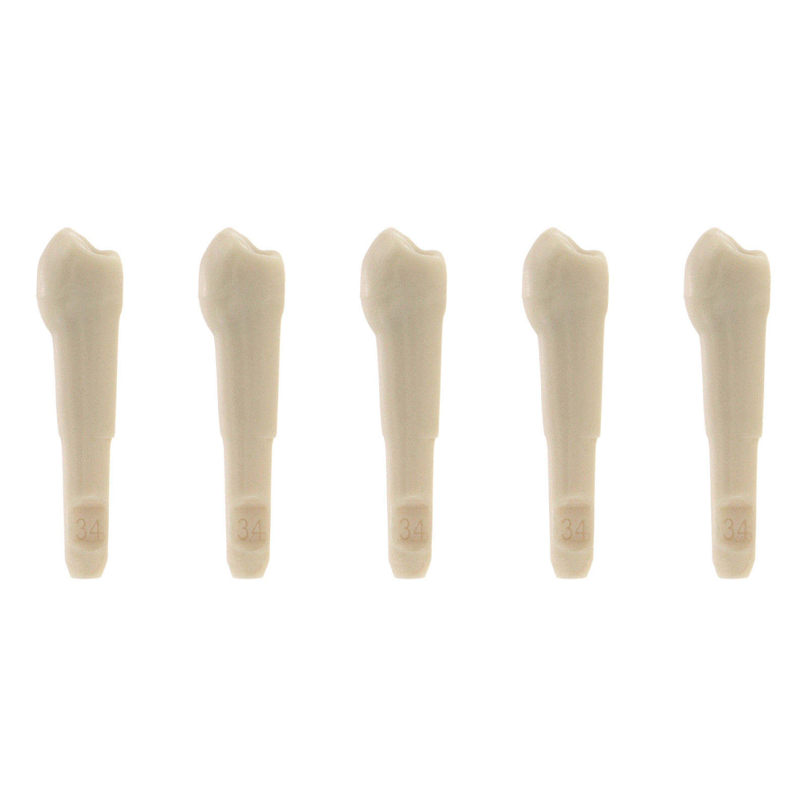 32Pcs Dental Tooth Model for KaVo Basic Model Teeth Retention Mechanism
