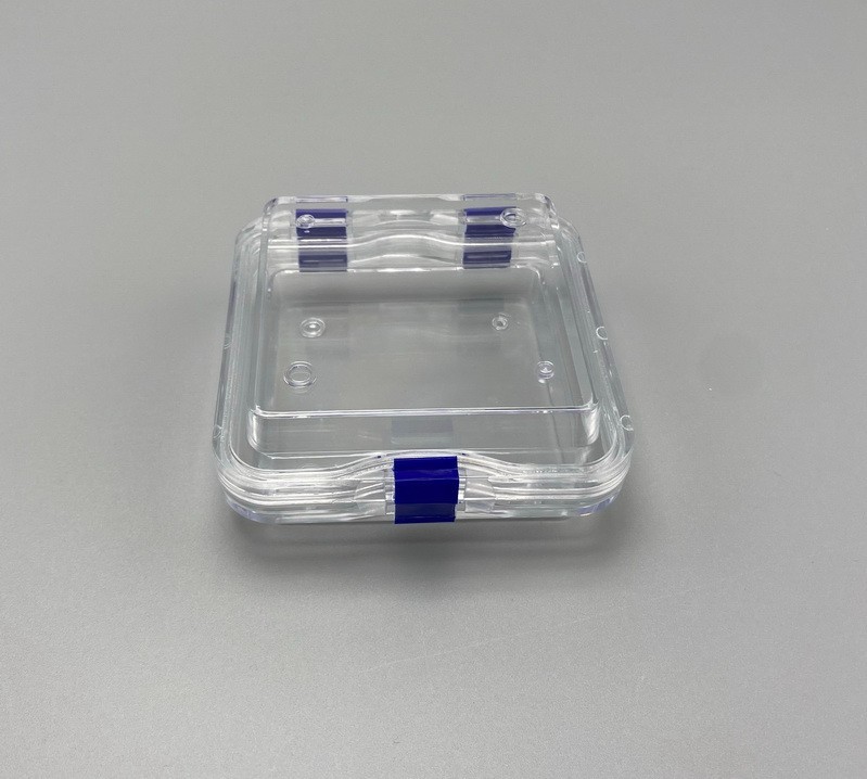 Denture Membrane Case Veneers Teeth Box Fragile Hinged Display Jewelry Holder