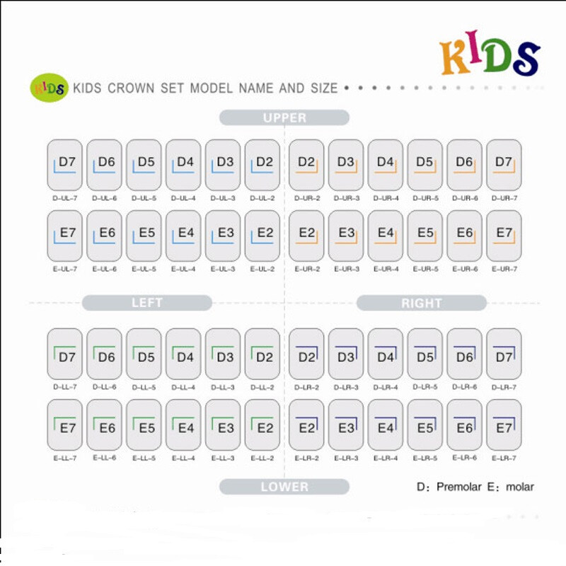 48Pcs/96Pcs Dental Crown for Teeth Preformed Primary Molar Adult Kid Crowns