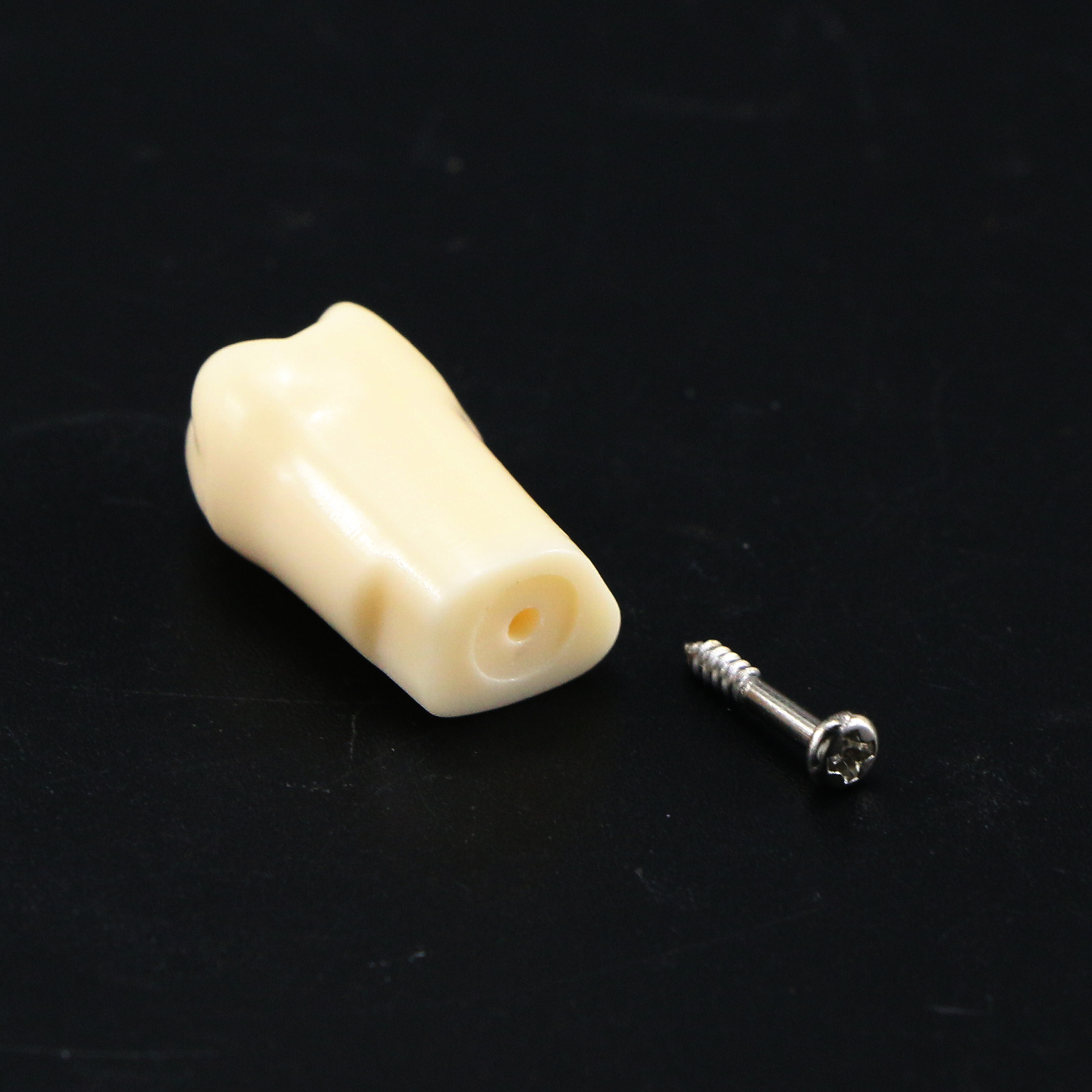 US Dental Replacement Typodont Teeth Set of 28 Teeth for Kilgore Nissin 200
