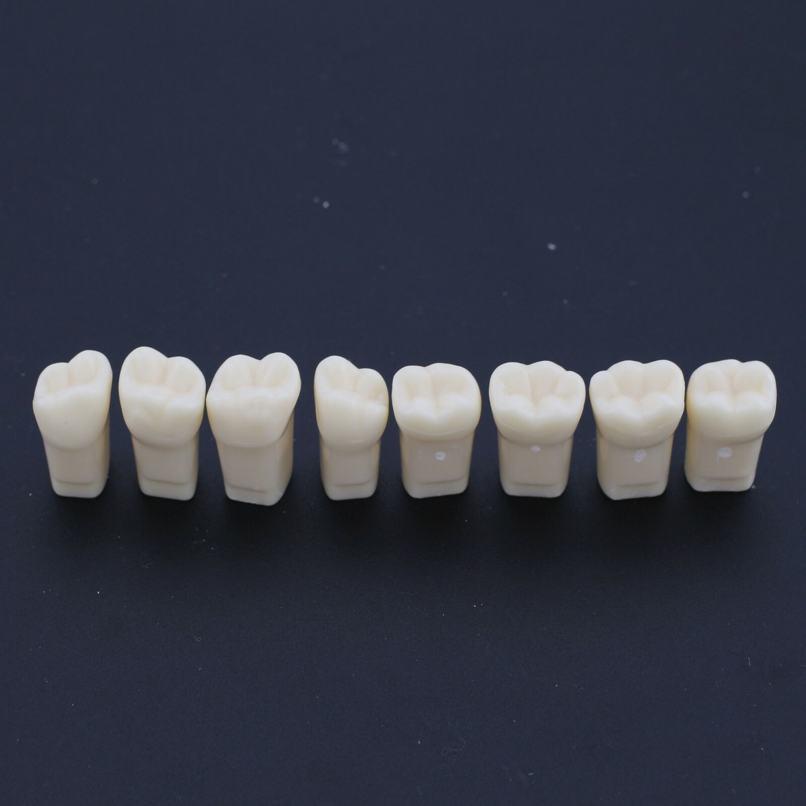 Dental Typodont Teeth Replacement Set of 28 Teeth Kilgore Nissin 200 Fit