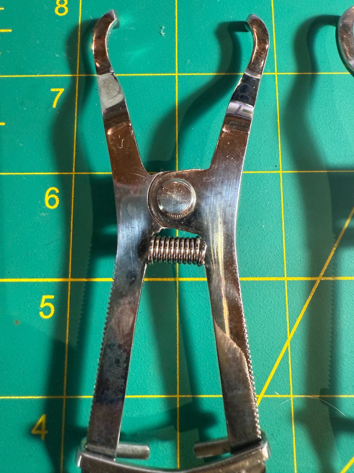6pc Ivory Danville Materials Rubber Dam Clamp Forcep Dental Tool (#0916014)