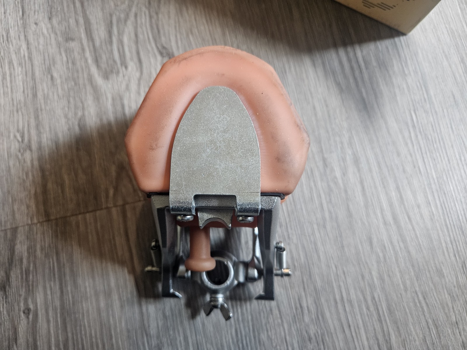 Nissin Dental Model – Kilgore International Inc. P15DP-TR.56C.1 GSD + B2-306