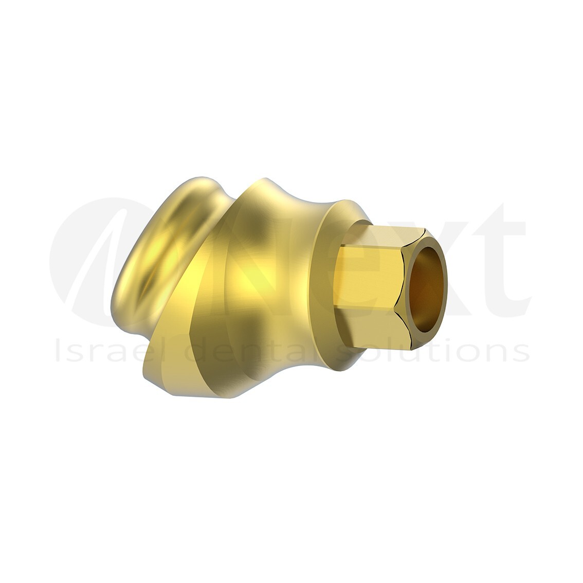 LOTx5 Angulated 30 deg Flat abutment 1-3 mm internal hex with screw