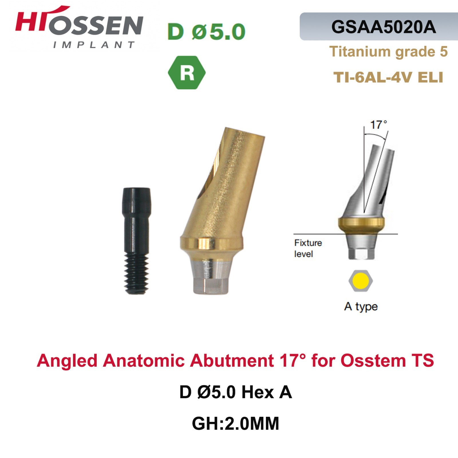 Dental Anatomic Angulated Abutment 17° Osstem TS / Hiossen ET Regular Platform