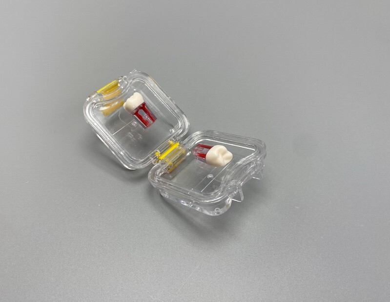 20Pcs Denture False Teeth Membrane Case Container Hinged Display Box Jewelry USA