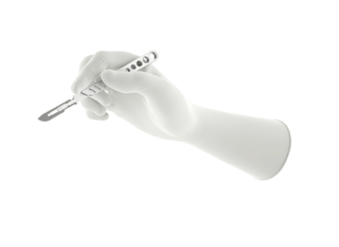 6 – Gammex Non-Latex Polyisoprene Textured Powder-Free Surgical Glove 6 10/27