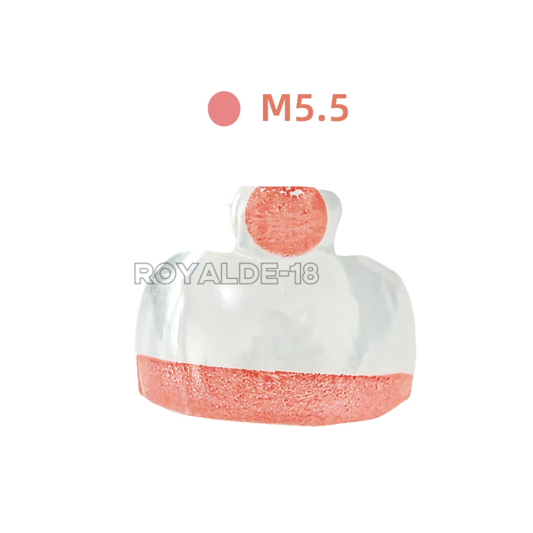 20Pcs Dental Clear Matrix Molar Mylar Matrices Similar Bioclear Matrice M4.5-8.0
