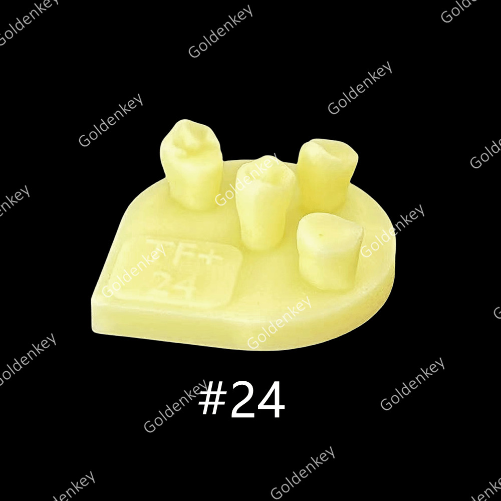 8pcs Dental Tooth Shape Practice Model Molar Resin Composites Filling US STOCK