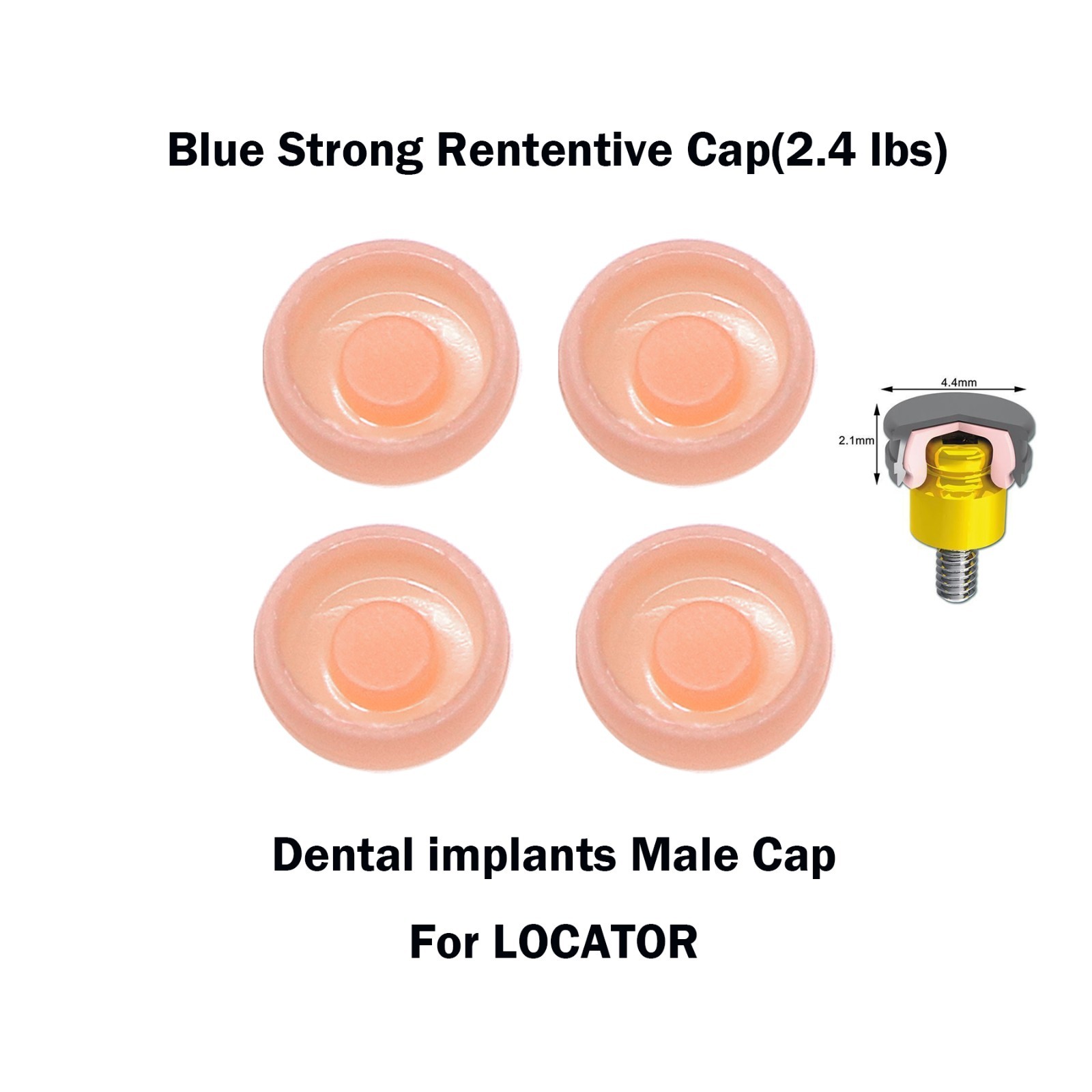 Universal Overdenture Implant Retention Caps – Metal Housing, 1.2 lbs & 2.4 lbs