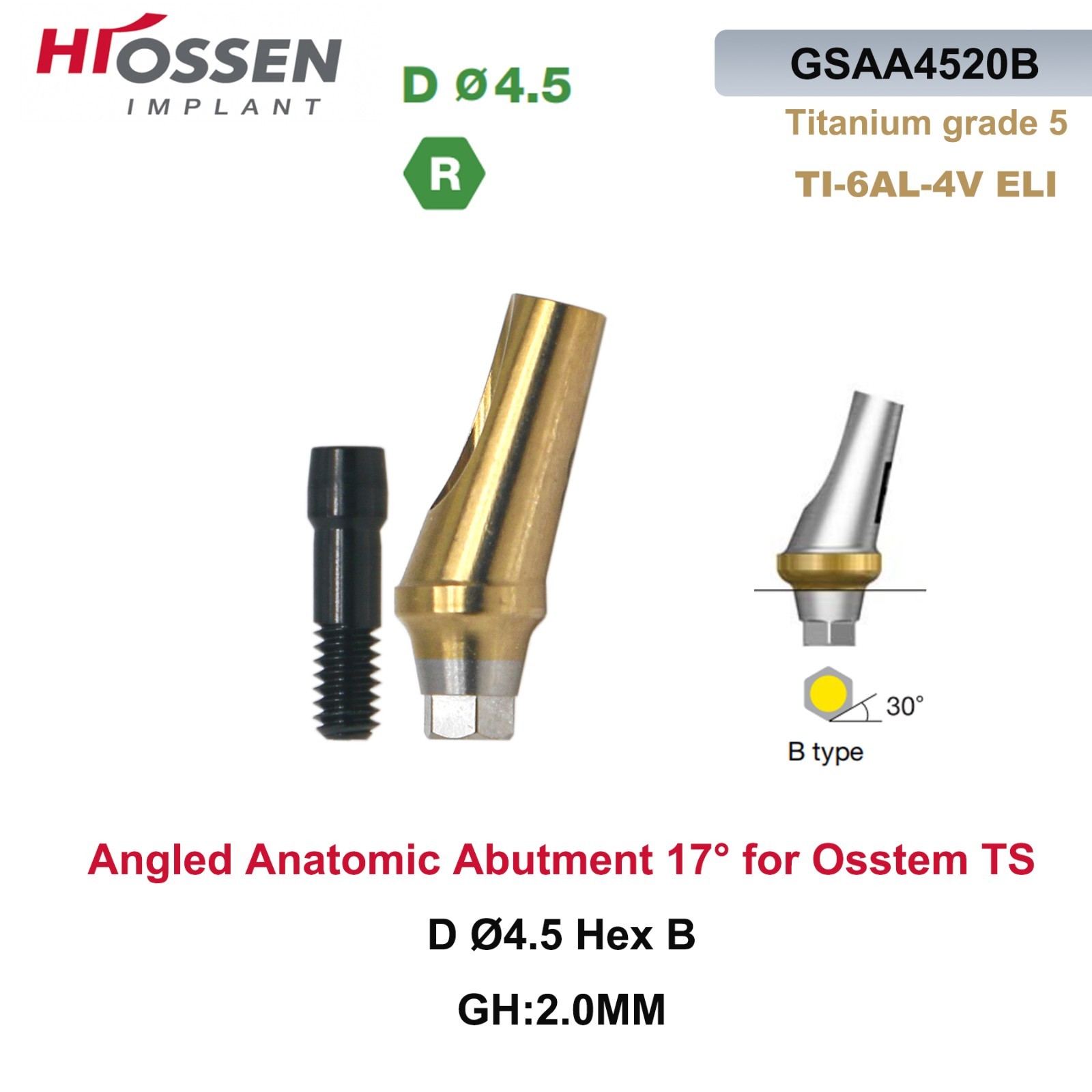 Dental Anatomic Angulated Abutment 17° Osstem TS / Hiossen ET Regular Platform