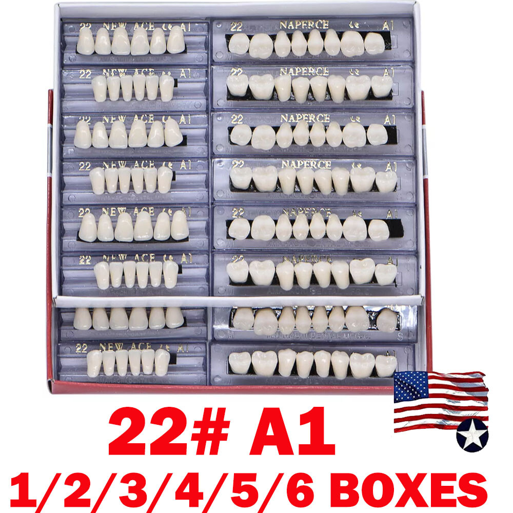 168PCS Acrylic Resin Denture Dental Upper Lower Shade A1 #22 Teeth Set USA