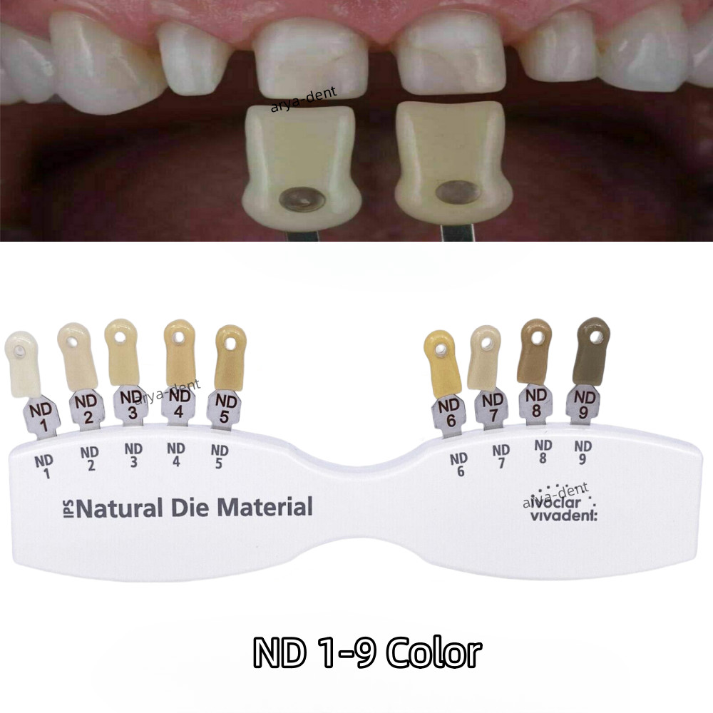 Dental IPS Natural Die Material Shade Color Guide Ivoclar Vivadent ND1-9 Abutmen