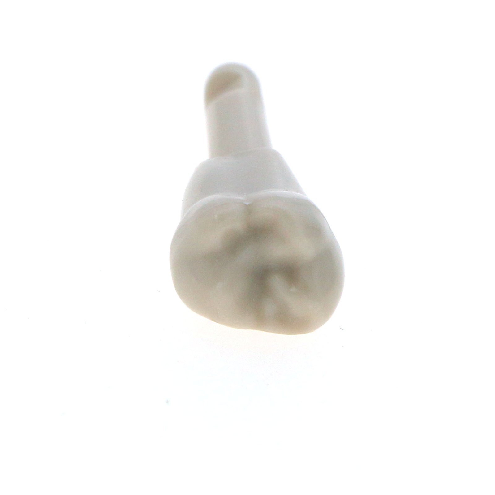 32Pcs Dental Tooth Basic Model fit KAVO Teeth Retention Mechanism Size Marked