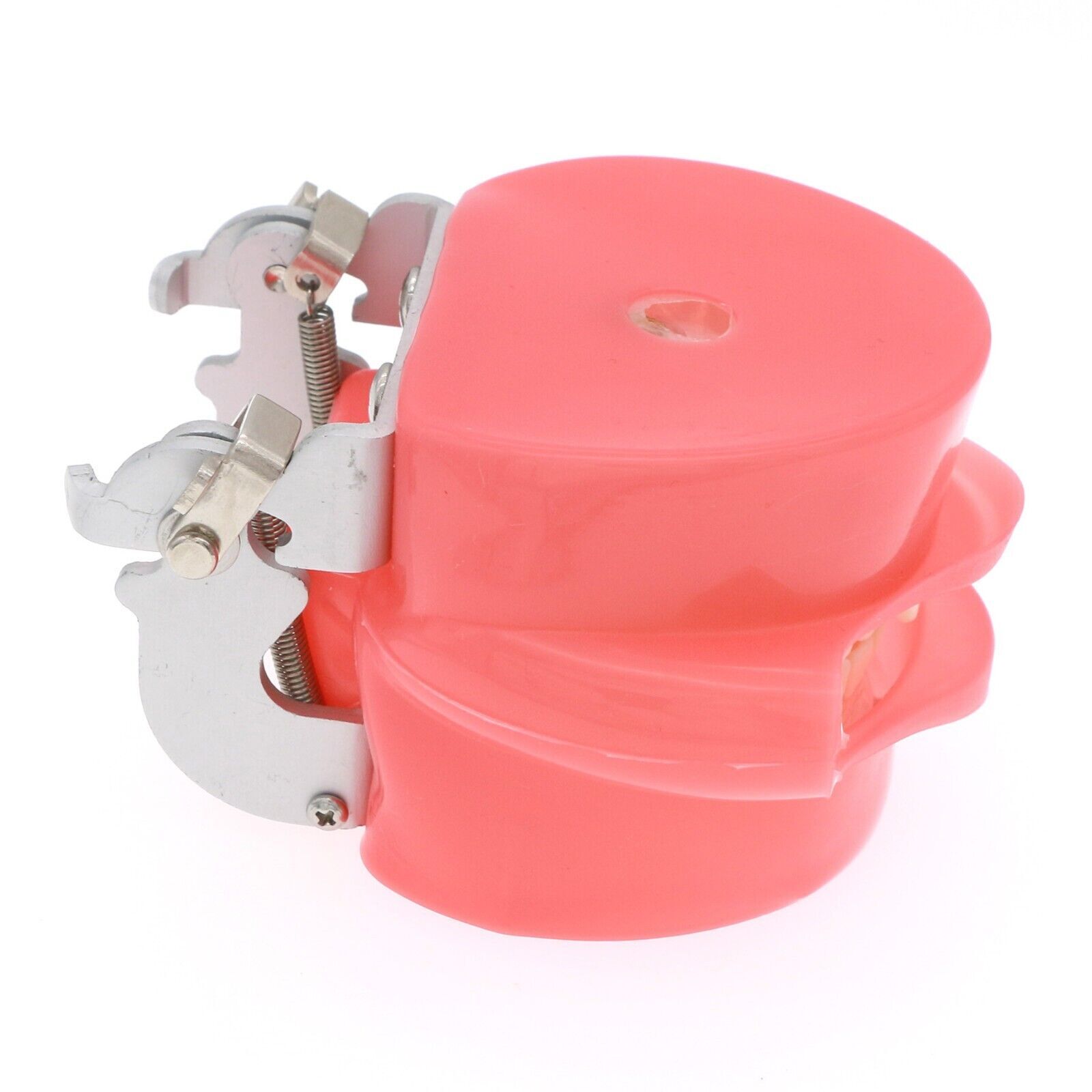 Dental Typodont Standard Removable Teeth Model Soft Gum Simulation Cheek 28 Pcs