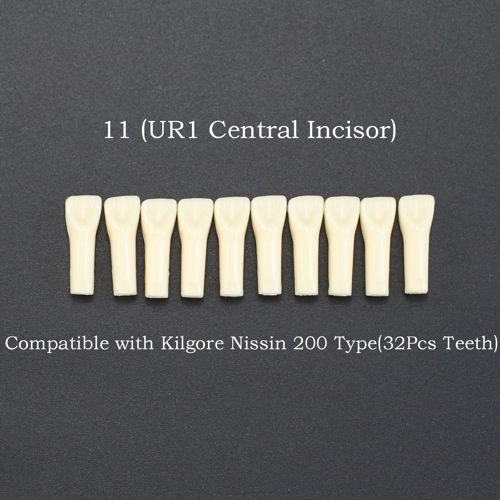 10 Pcs/Kit Dental Individual Typodont Teeth Replacement NISSIN 200 for 32 Teeth