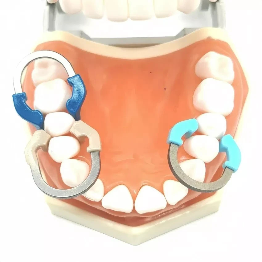Dental Matrix Bands Ring Sectional Matrice Clamp Fit Garrison Palodent V3 System