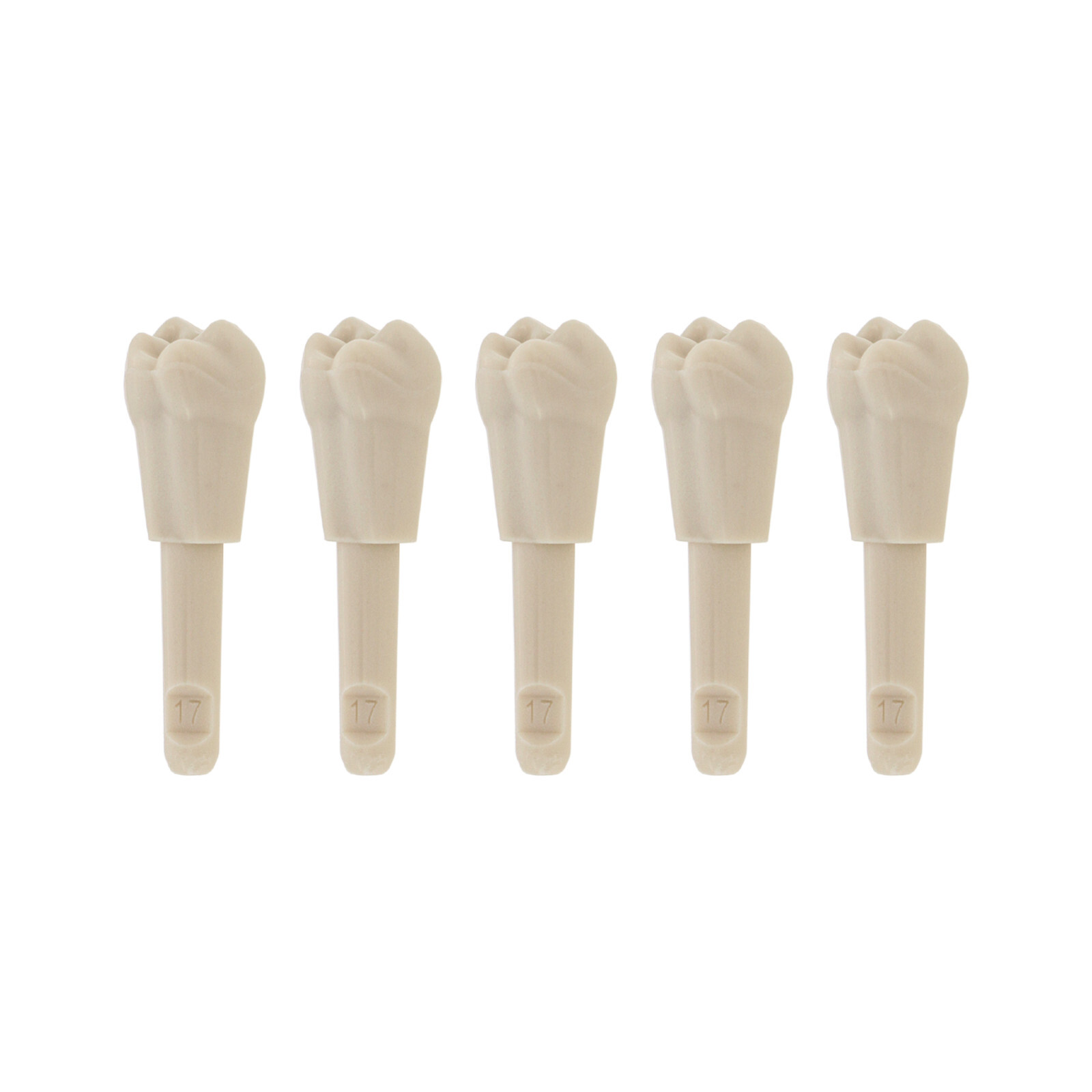 32Pcs Dental Tooth Model for KaVo Basic Model Teeth Retention Mechanism