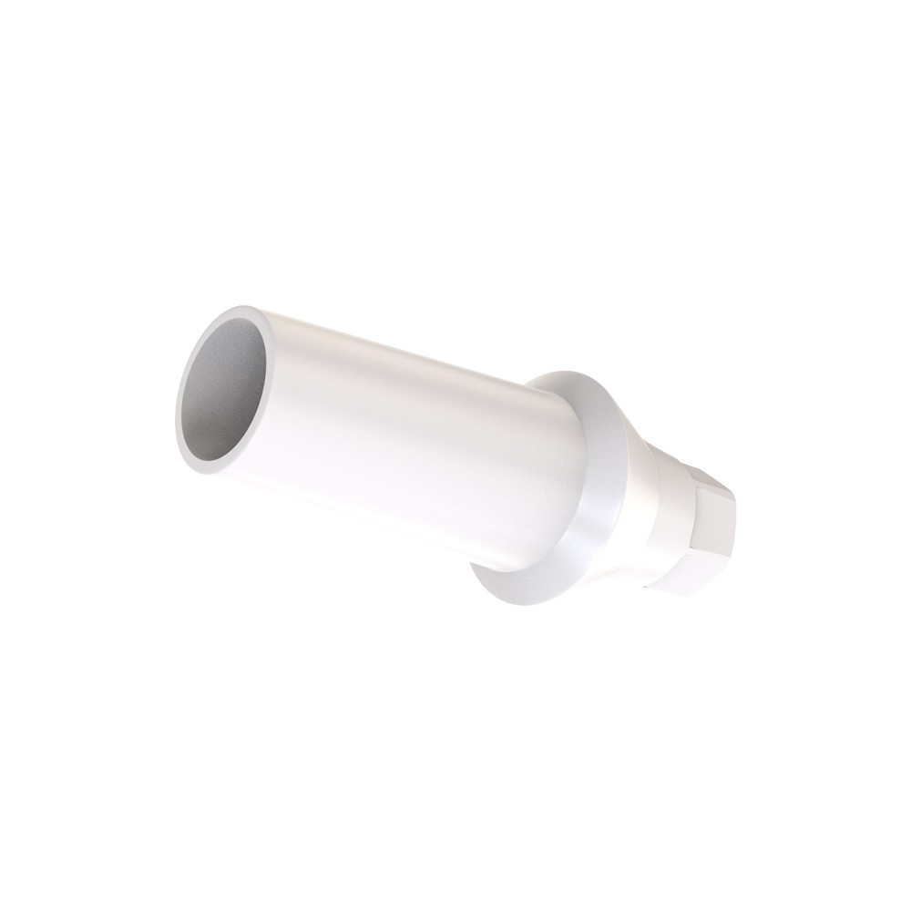 10pcs DSl Straight Abutments Anatomic Peek Conical Connection RP Dental Lab