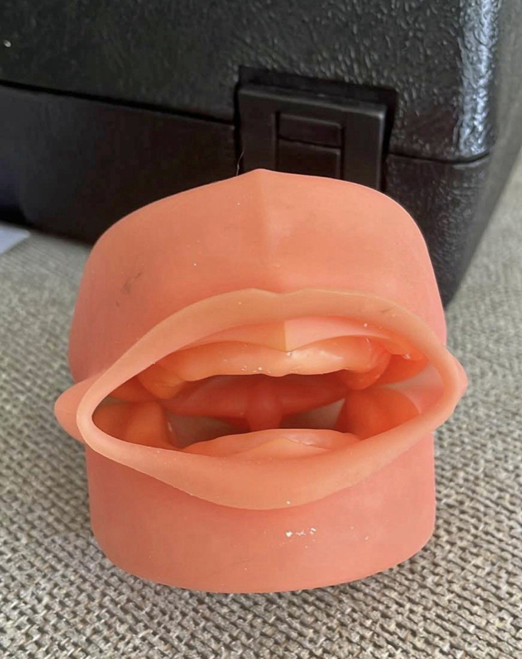 Nissin Typodont Dental Model G10DP-402K-QF-OR