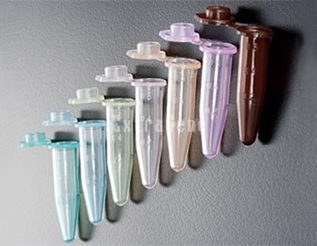 Extragene 0.5 ml Microcentrifuge Tube, Color Abssorted Bag x 1000. Graduated, DN