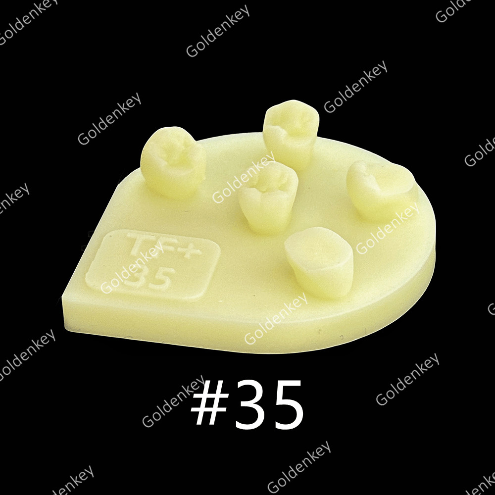 8pcs Dental Tooth Shape Practice Model Molar Resin Composites Filling US STOCK