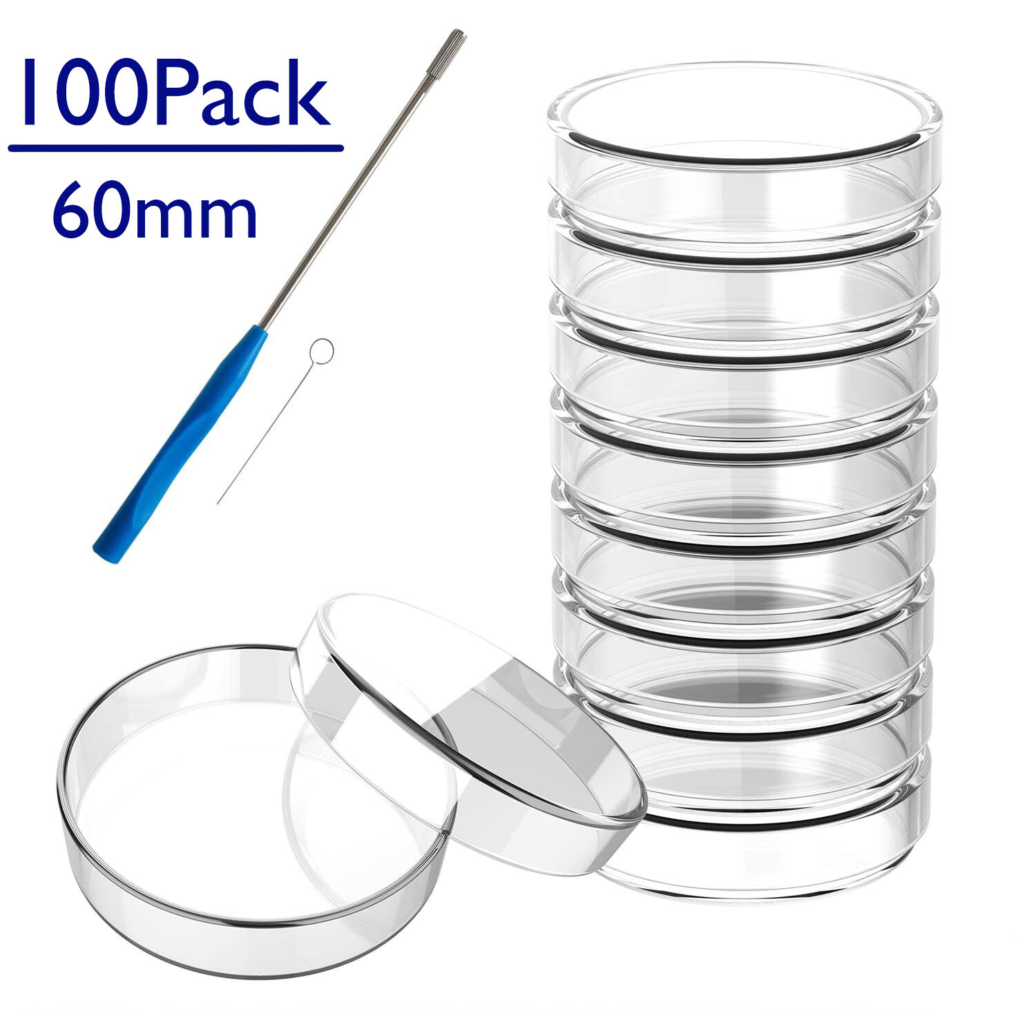 100x 60mm Glass Petri Dishes Lids Autoclavable Lab Petri Plate+ Inoculation Loop