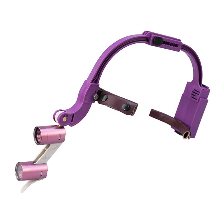 Dental Headband 5W LED Head Light 2 Leds with 3.5X Binocular Loupes + Box Purple