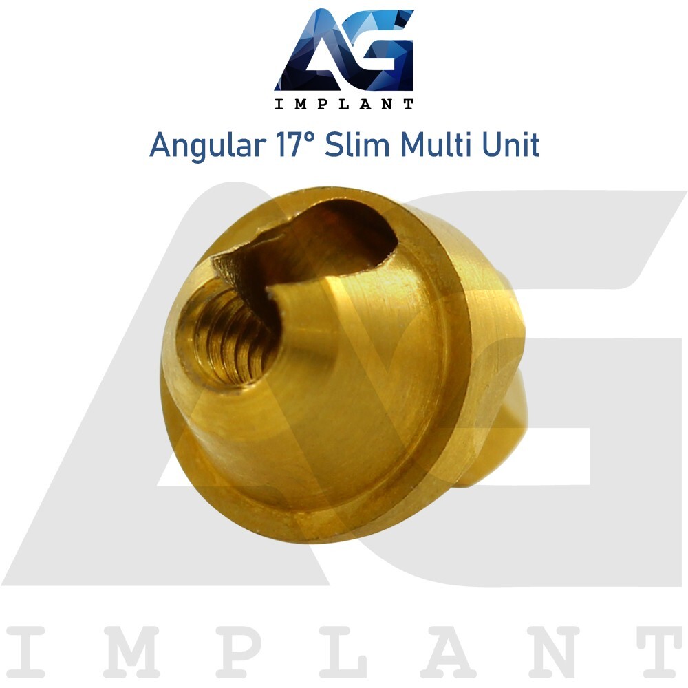 10 Angular Slim Multi Unit 1.6 Prosthetic 17° Int Hex Titanium With Screw