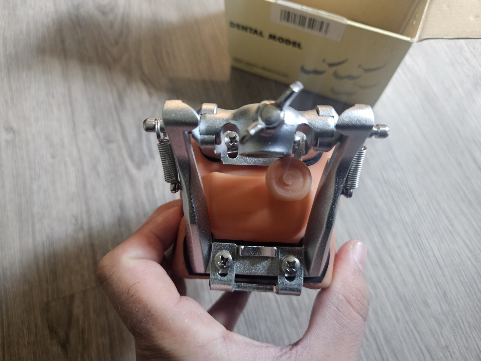 Nissin Dental Model – Kilgore International Inc. P15DP-TR.56C.1 GSD + B2-306