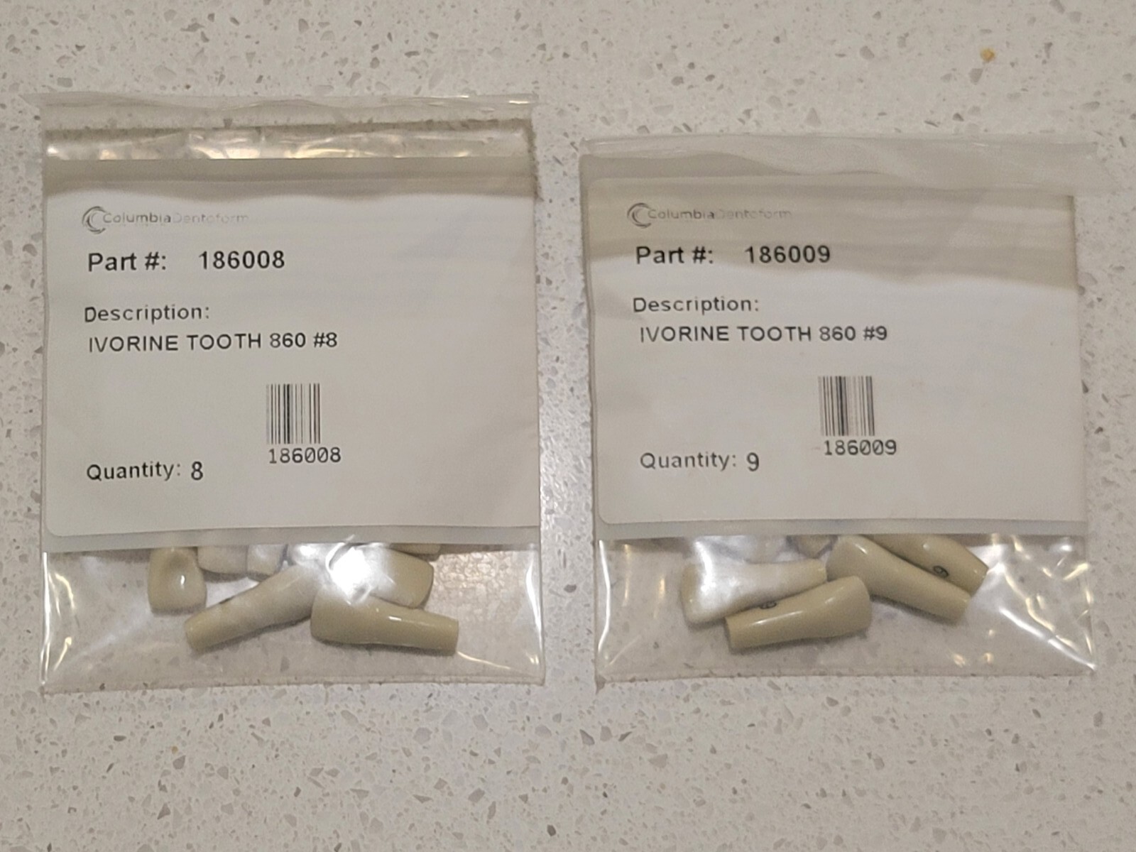 Typhpdont Teeth (assorted)