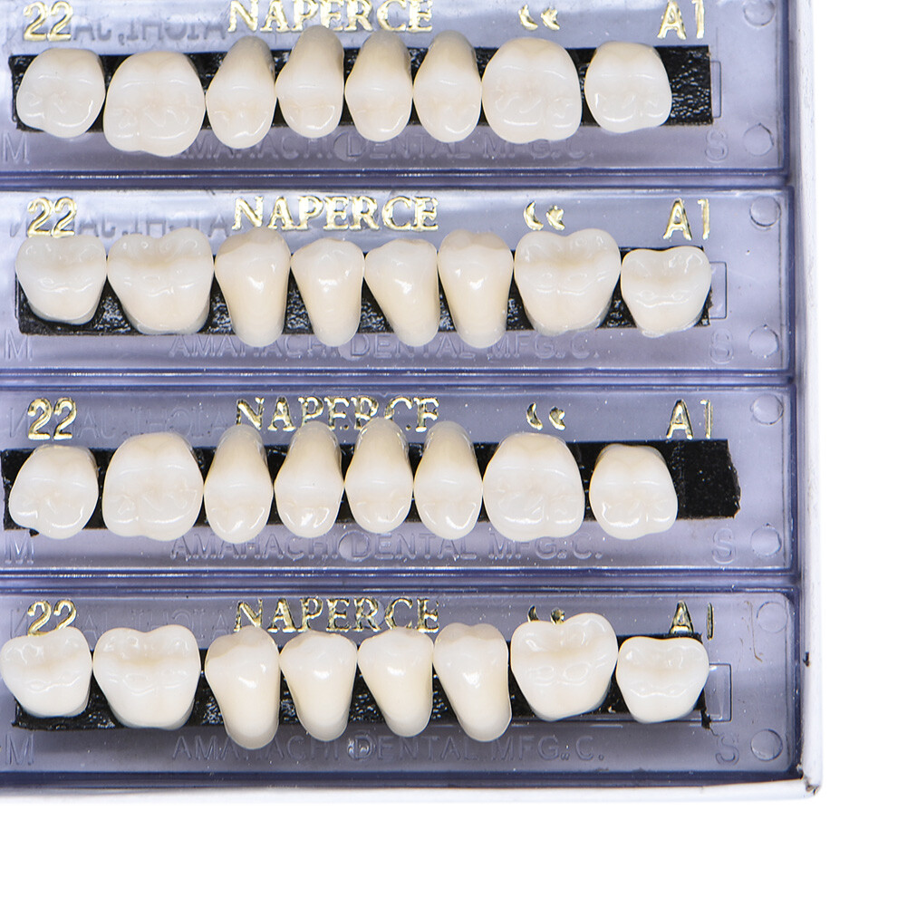 168PCS Acrylic Resin Denture Dental Upper Lower Shade A1 #22 Teeth Set USA