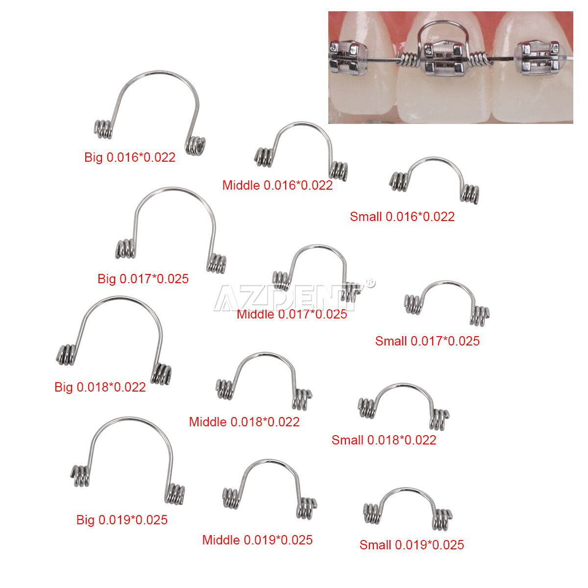 Dental Ortho Anterior Teeth Torque Rectangular Springs Closed / Open Coil Spring