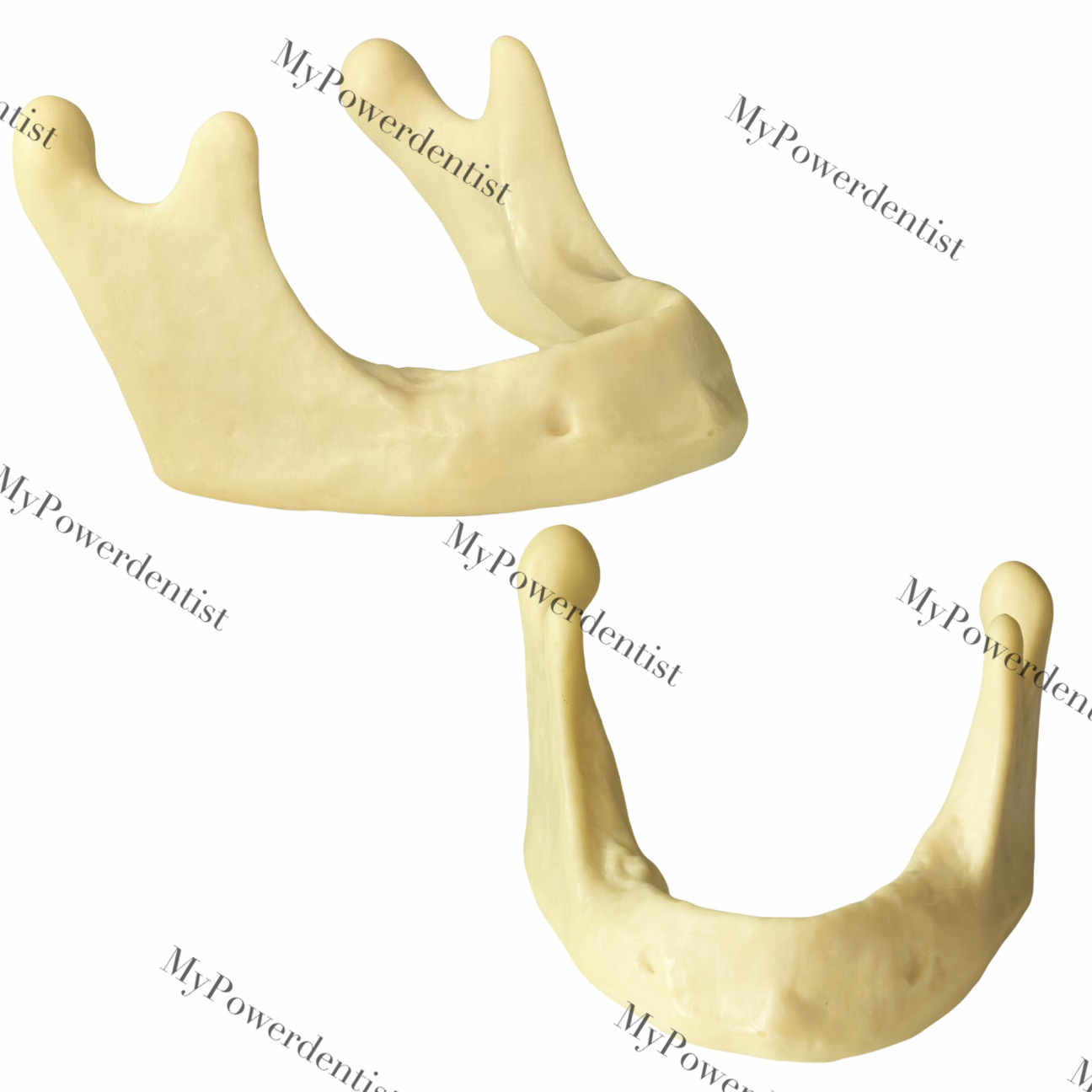 Dental Embed Mandible Jaw Model for Basic Drilling Insertion Practice M2022