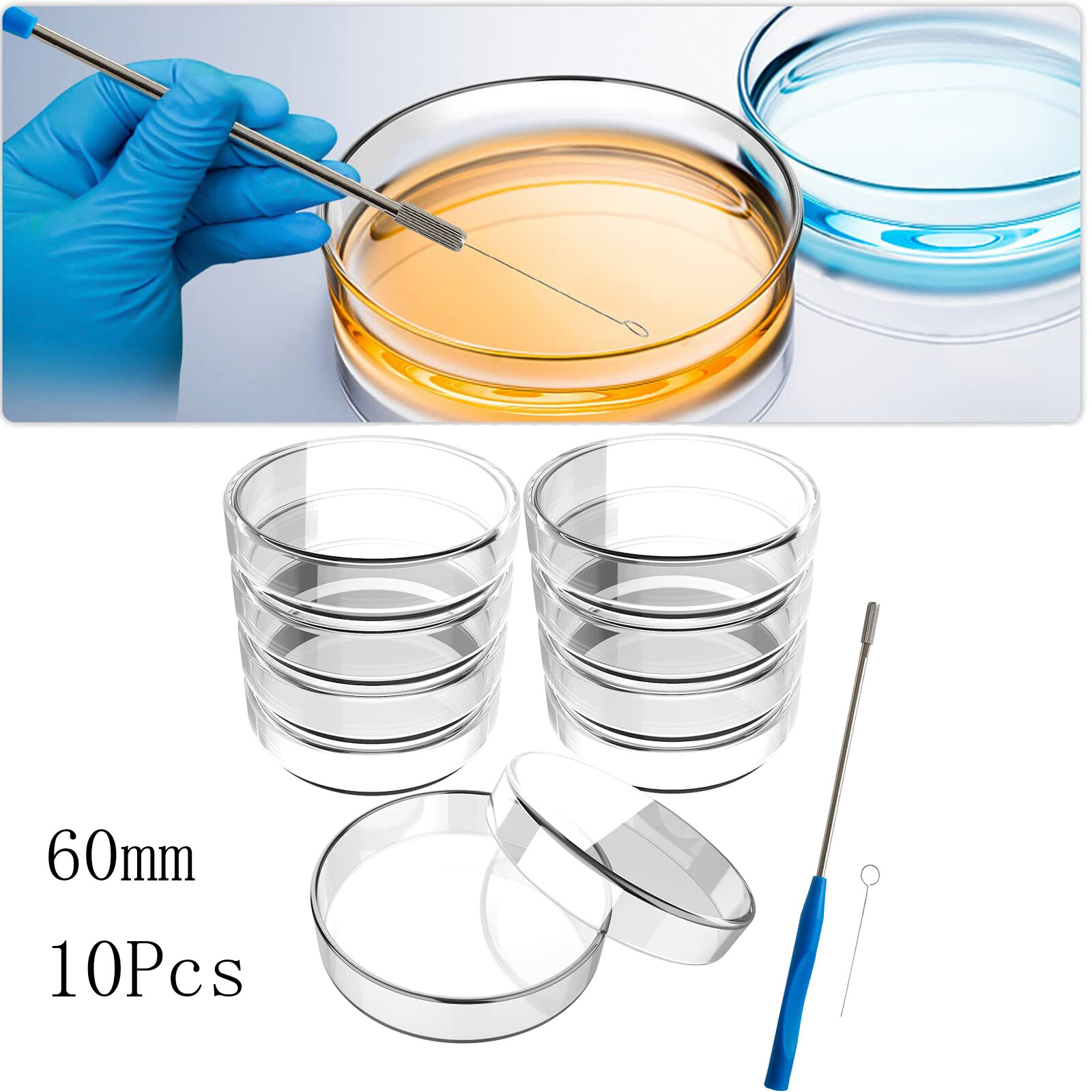 10/50/100x 60mm Glass Petri Dishes w/Lids Autoclavable Lab Petri Plates Reusable