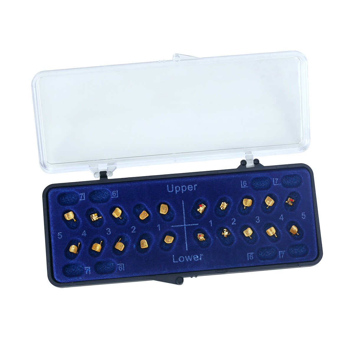 Dental Orthodontic Metal Brackets Braces 24K Gold Plated Mini MBT.022 345 Hooks