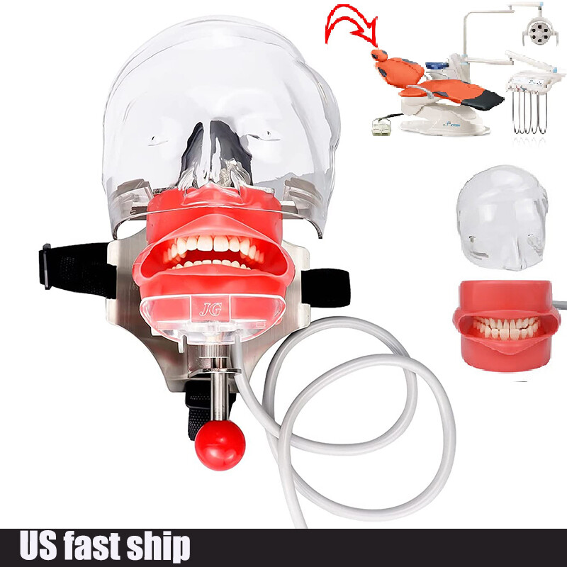 2 type Detachable Dental Simulator Phantom Head Model Dentist Teaching Practice
