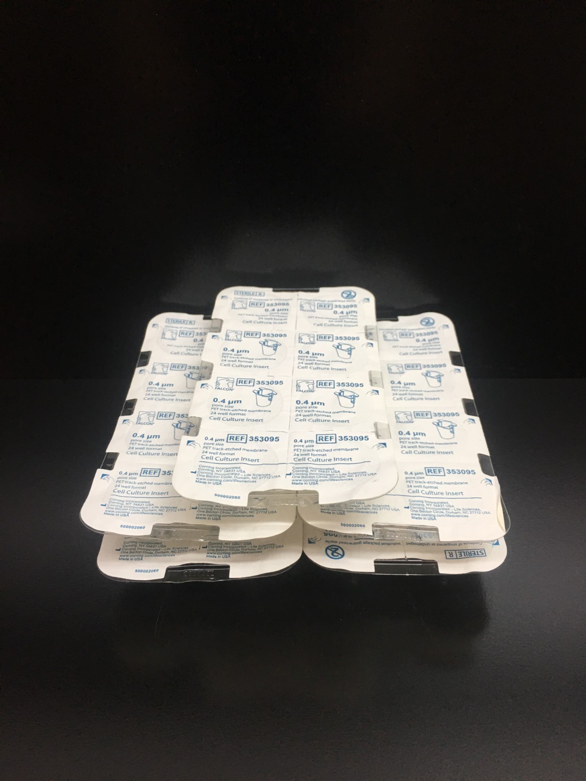 Corning Falcon REF 353095 Permeable Support 24 Well Plate 0.4µm PET Lot 40 PCS