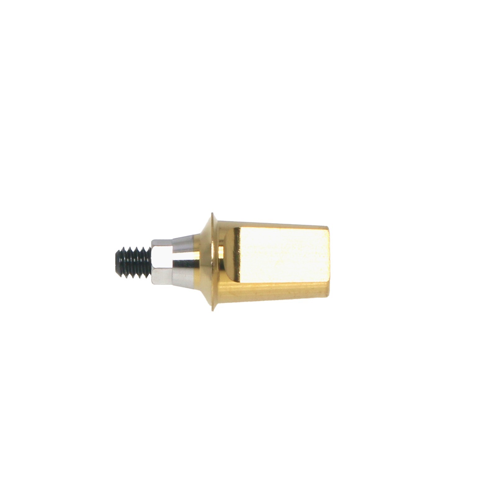 US Dental Straight Transfer & 17° Angled Anatomic Abutment Fit Hiossen/Osstem