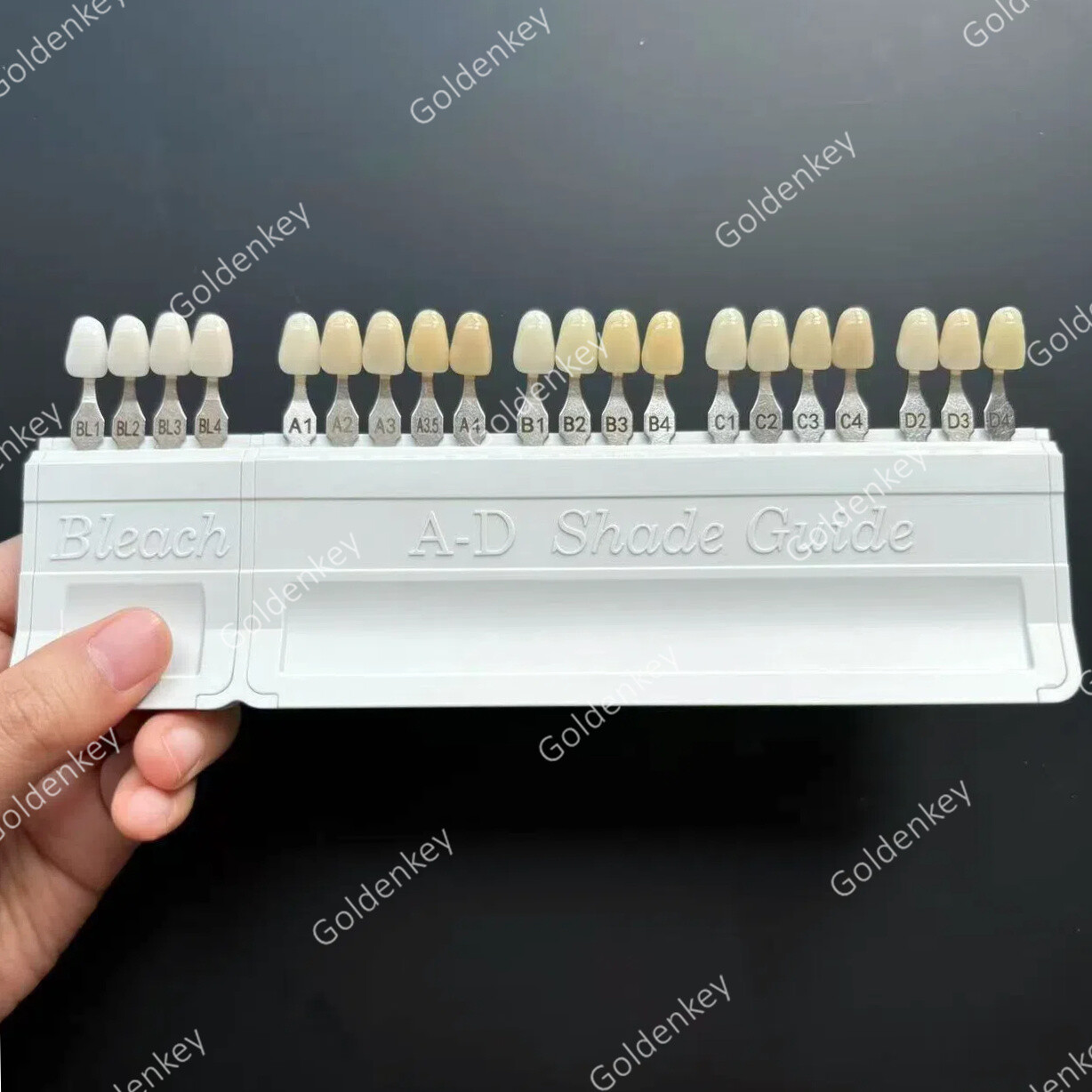 Dental A-D Shade Guide Bleach Teeth Natural Die Porcelain Custom Ivoclar Type US