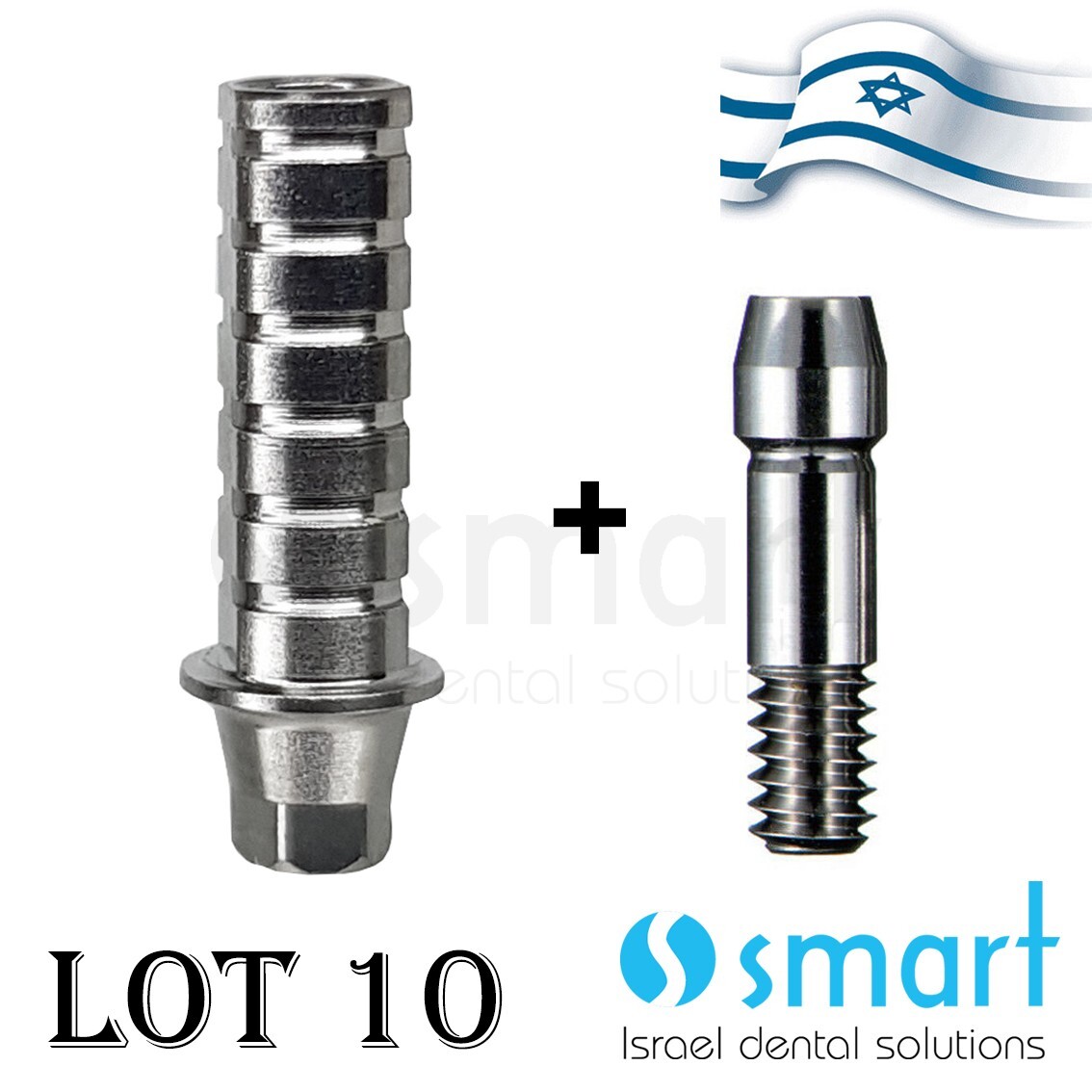 Lot x 10 Straight Temporary Abutment Hiossen Regular Fit Hex