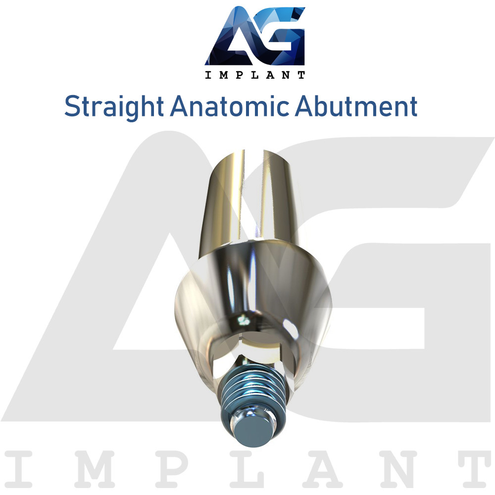20 Straight Anatomic Aesthetic Titanium For Dental Int Hex 2.42 Connection