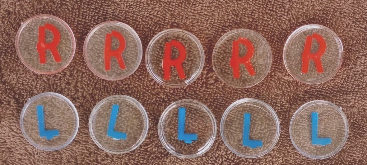 Xray Markers Five Sets World Famous Style! For RT(R) Professionals