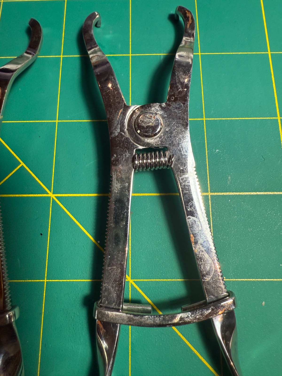 6pc Ivory Danville Materials Rubber Dam Clamp Forcep Dental Tool (#0916014)