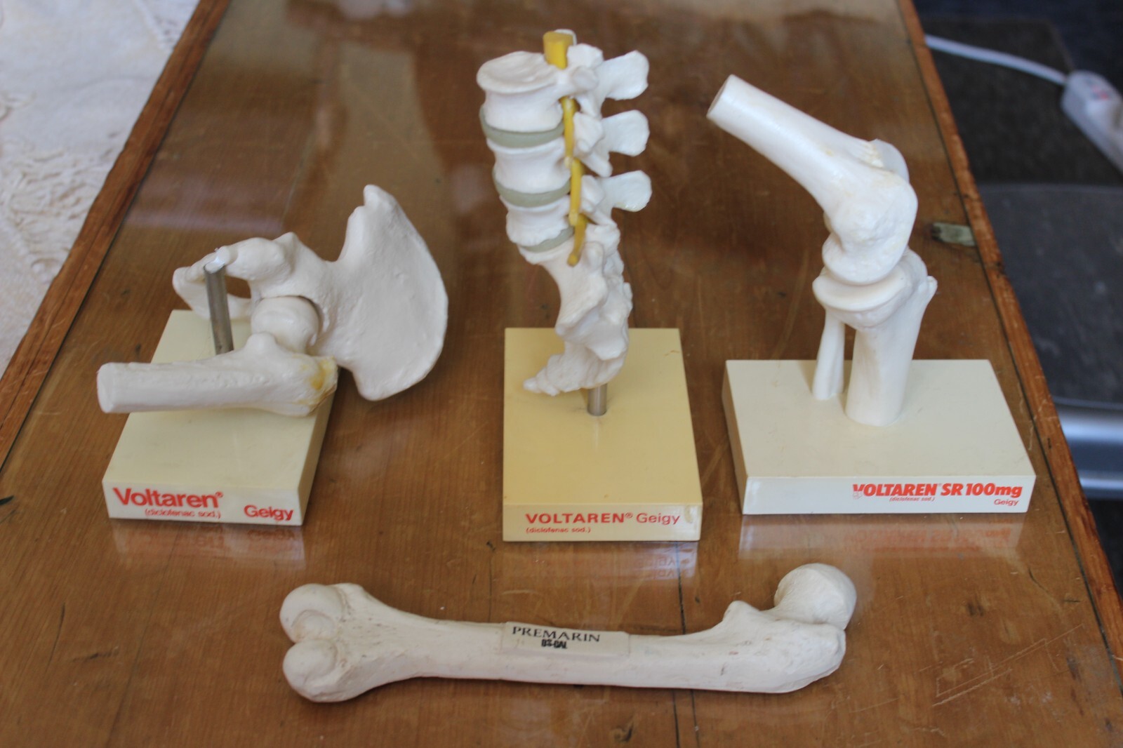 Set Of 4 Medical Anatomical Models For Bones – Voltaren/Geigy