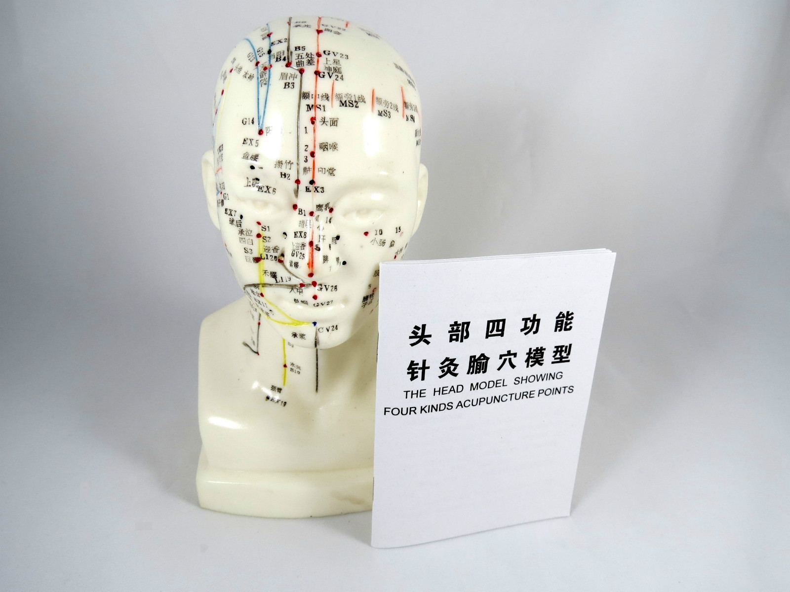 Professional Educational Acupuncture 8″ Head 20cm Anatomy Medical Model IT-094