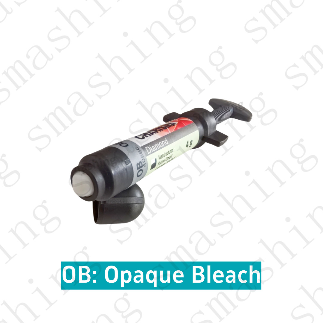Dental KULZER CHARISMA Composite Resin Diamond Bleach White Light Cure BL BXL OB
