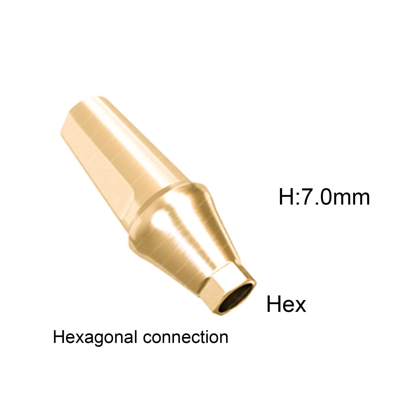 Implant Straight Abutment Titanium 7.0 mm height Hex Fit Hiossen ET Mini/Regular