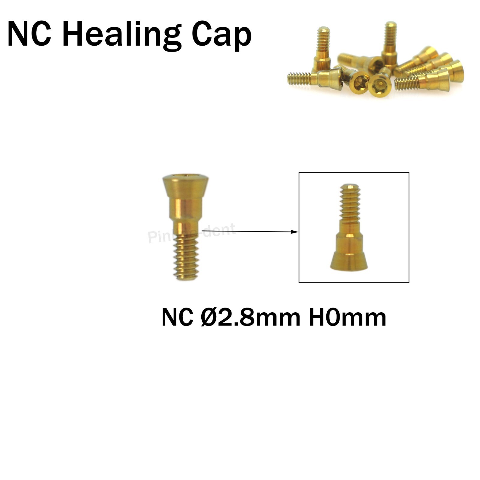 Dental Healing Abutment NC Ø3.6/4.8mm Dia Cover Screw fits ITI Straumann BL/BLT
