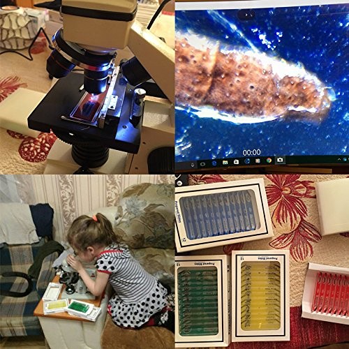 Jiusion 60Pcs Prepared Microscope Slides 60Pcs, Blue,Green,Red,Yellow,Purple